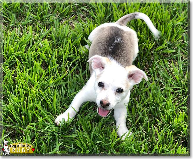 Name:  36448084_1778458605580373_1027496858856980480_n.jpg
Views: 146
Size:  105.6 KB