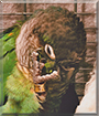 Name:  large.jpg
Views: 124
Size:  14.7 KB