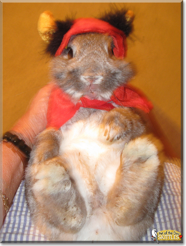Name:  01e.jpg
Views: 142
Size:  468.3 KB