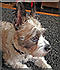 Click image for larger version. 

Name:	large.jpg 
Views:	122 
Size:	12.6 KB 
ID:	60826