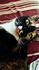Click image for larger version. 

Name:	mincute.jpg 
Views:	122 
Size:	58.2 KB 
ID:	60829