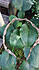 Click image for larger version. 

Name:	snake.jpg 
Views:	62 
Size:	120.8 KB 
ID:	60834