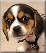 Name:  large.jpg
Views: 132
Size:  12.4 KB