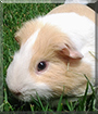 Name:  large (1).jpg
Views: 104
Size:  12.4 KB