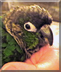 Name:  large.jpg
Views: 133
Size:  13.8 KB