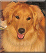 Name:  large (1).jpg
Views: 123
Size:  13.4 KB