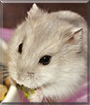 Name:  large.jpg
Views: 102
Size:  10.2 KB
