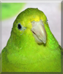 Name:  large (1).jpg
Views: 142
Size:  11.9 KB