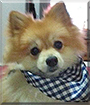 Name:  large.jpg
Views: 120
Size:  12.1 KB