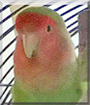 Name:  large.jpg
Views: 100
Size:  12.9 KB
