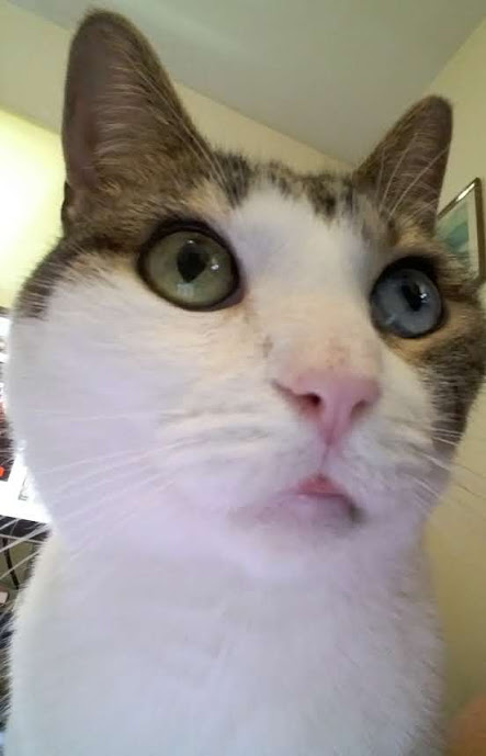 Name:  olifart.jpg
Views: 358
Size:  39.9 KB