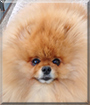 Name:  large.jpg
Views: 141
Size:  9.9 KB