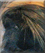 Name:  large.jpg
Views: 146
Size:  13.4 KB