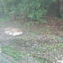 Click image for larger version. 

Name:	rain1.jpg 
Views:	138 
Size:	110.2 KB 
ID:	60899