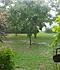 Click image for larger version. 

Name:	rain2.jpg 
Views:	83 
Size:	54.3 KB 
ID:	60900