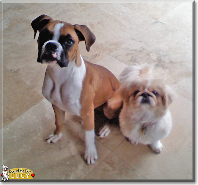 Name:  04d.jpg
Views: 163
Size:  233.3 KB