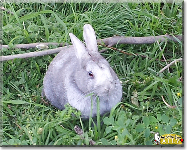Name:  04.jpg
Views: 118
Size:  290.8 KB