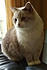 Click image for larger version. 

Name:	blueeyes.jpg 
Views:	68 
Size:	40.8 KB 
ID:	60906
