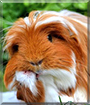 Name:  large.jpg
Views: 147
Size:  14.2 KB