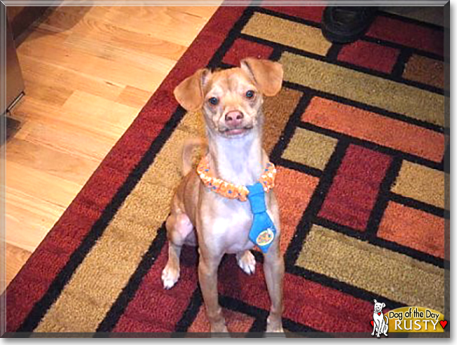 Name:  15.jpg
Views: 166
Size:  231.6 KB