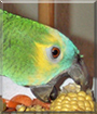 Name:  large.jpg
Views: 125
Size:  12.6 KB