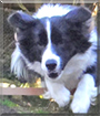 Name:  large.jpg
Views: 140
Size:  12.2 KB