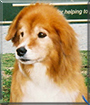 Name:  large.jpg
Views: 210
Size:  13.1 KB