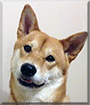 Name:  large.jpg
Views: 188
Size:  11.5 KB