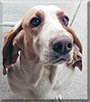 Name:  large.jpg
Views: 183
Size:  11.2 KB