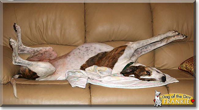 Name:  26c.jpg
Views: 158
Size:  133.0 KB