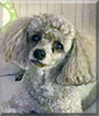 Name:  large.jpg
Views: 105
Size:  12.7 KB