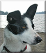 Name:  large (1).jpg
Views: 84
Size:  9.3 KB