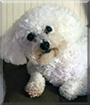 Name:  large.jpg
Views: 140
Size:  10.2 KB
