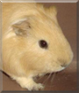 Name:  large.jpg
Views: 148
Size:  9.1 KB