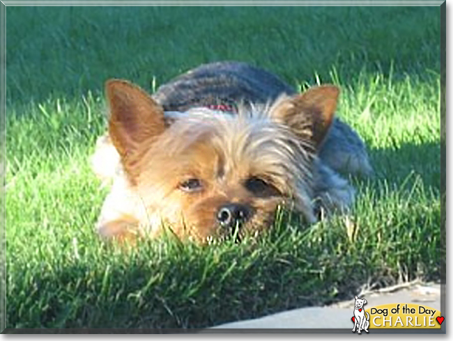 Name:  14.jpg
Views: 210
Size:  192.8 KB