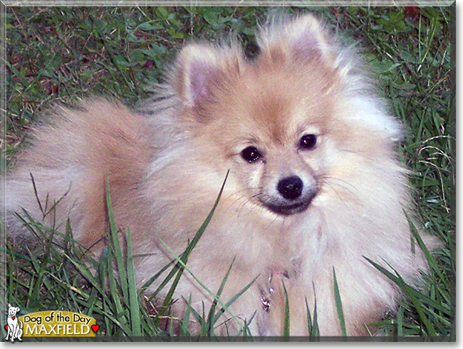 Name:  19.jpg
Views: 165
Size:  321.3 KB
