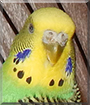 Name:  large.jpg
Views: 131
Size:  12.8 KB