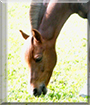 Name:  large (1).jpg
Views: 130
Size:  14.3 KB
