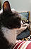 Click image for larger version. 

Name:	monmindy.jpg 
Views:	111 
Size:	58.7 KB 
ID:	61068