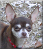 Name:  large.jpg
Views: 190
Size:  12.3 KB