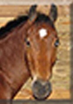 Name:  small.jpg
Views: 118
Size:  11.0 KB