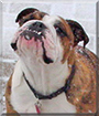Name:  large (1).jpg
Views: 157
Size:  12.4 KB