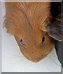 Name:  large.jpg
Views: 152
Size:  12.1 KB