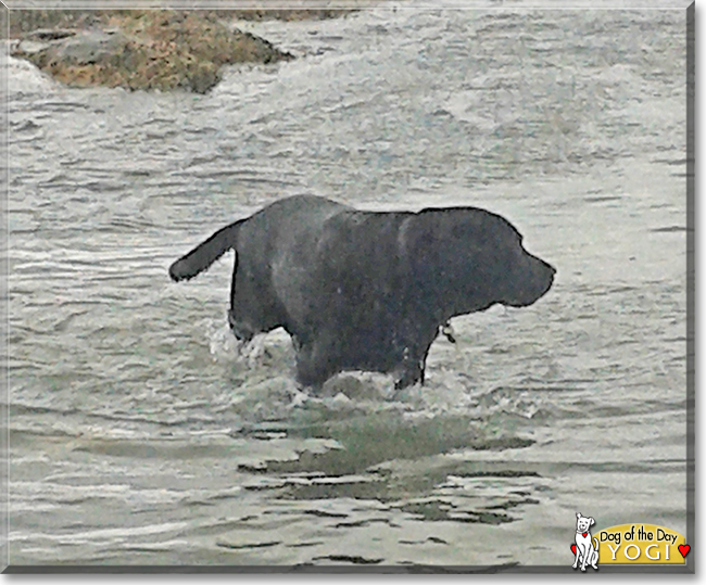 Name:  06e.jpg
Views: 138
Size:  247.1 KB