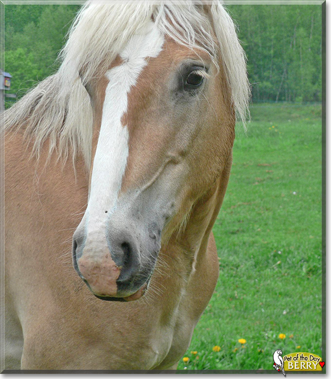 Name:  06c.jpg
Views: 126
Size:  379.2 KB