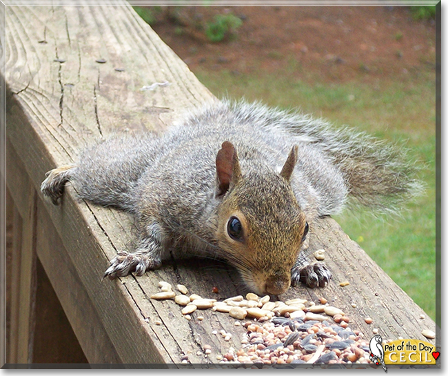 Name:  07.jpg
Views: 138
Size:  310.4 KB