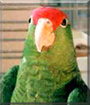 Name:  large.jpg
Views: 141
Size:  11.9 KB