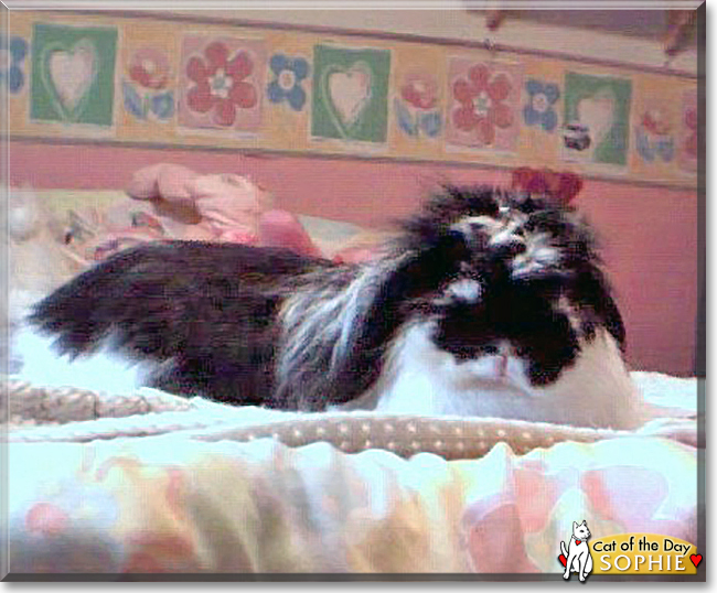 Name:  14.jpg
Views: 145
Size:  244.9 KB