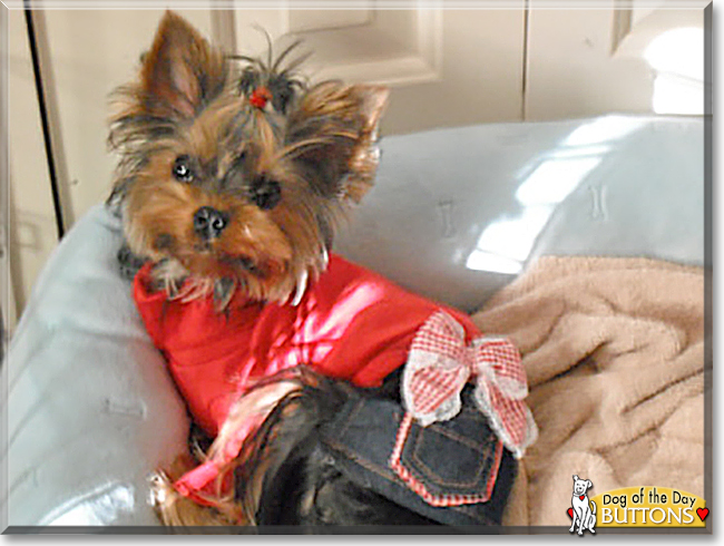 Name:  16.jpg
Views: 176
Size:  232.2 KB