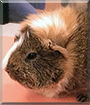 Name:  large.jpg
Views: 151
Size:  12.3 KB
